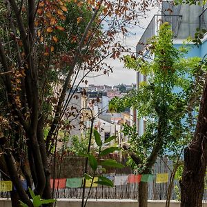 Lost Lisbon :: Avenida House